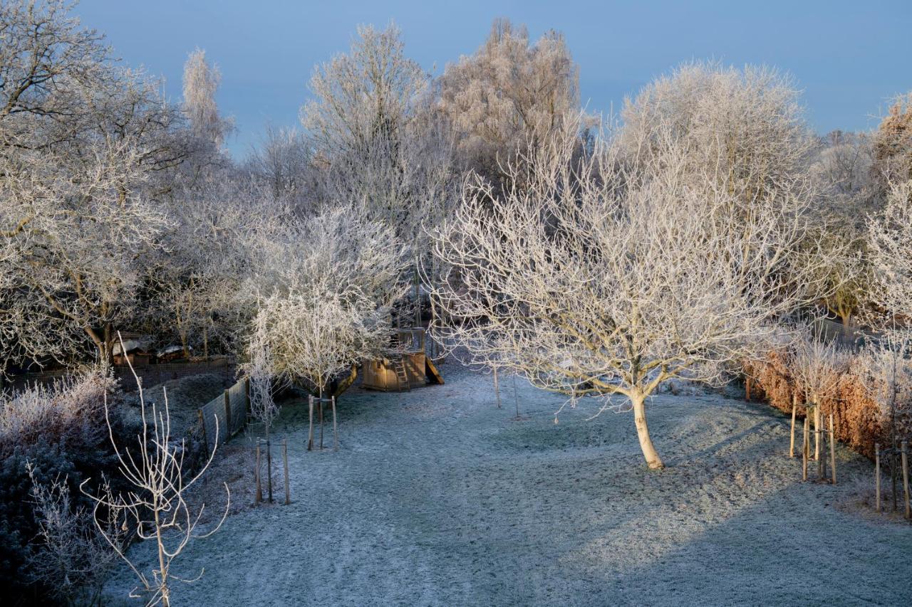 Bed and Breakfast Nuit Blanche Oud-Heverlee Экстерьер фото